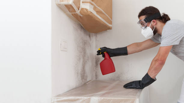 Professional Mold Remediation technician working in Wyandanch, NY